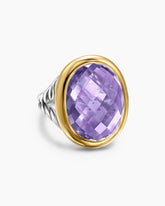 Albion® Oval Ring in Sterling Silver with 18K Yellow Gold and Amethyst, 21mm